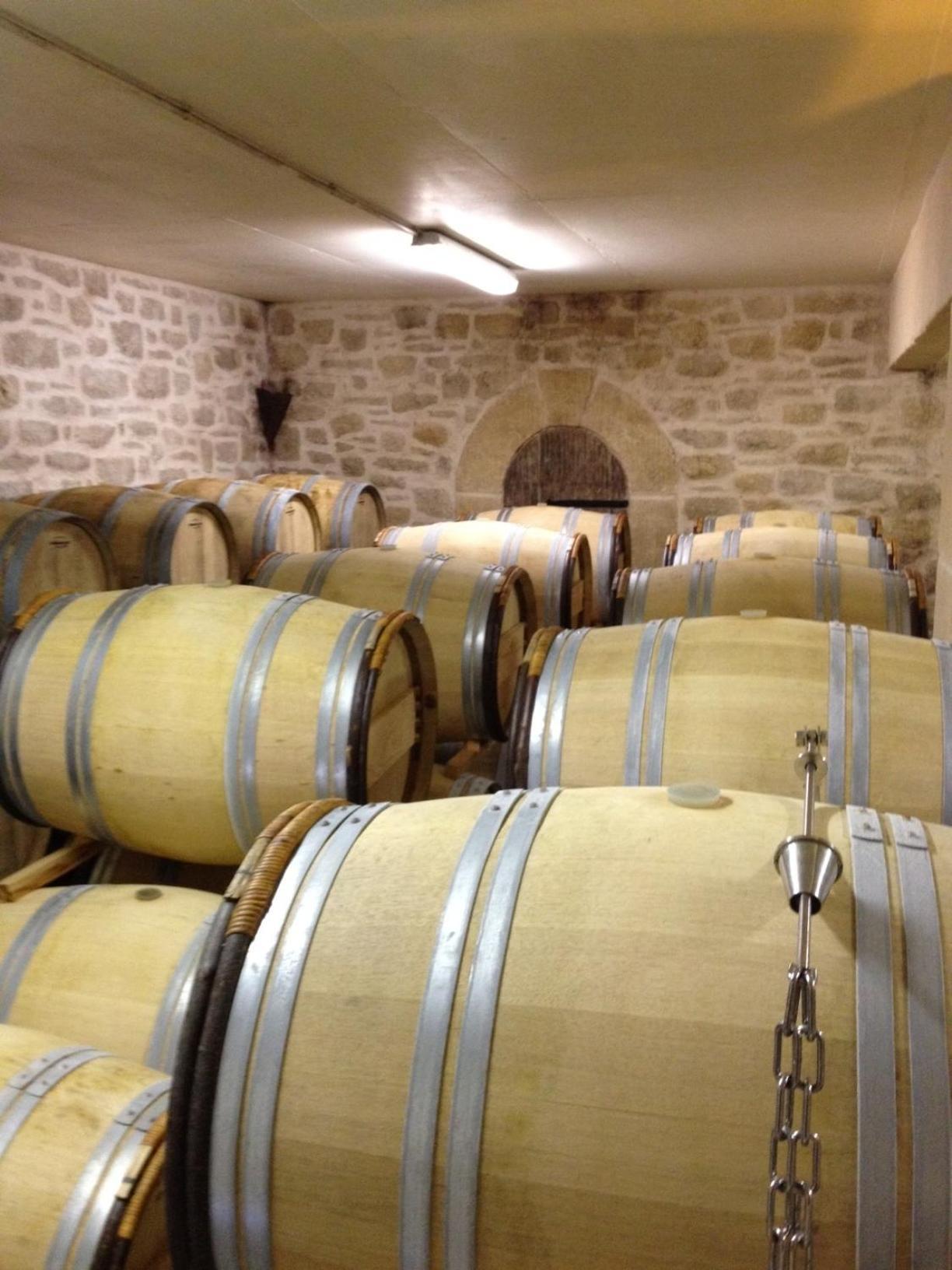 Chateau De Valloubiere Saint-Jean-de-Fos Екстер'єр фото