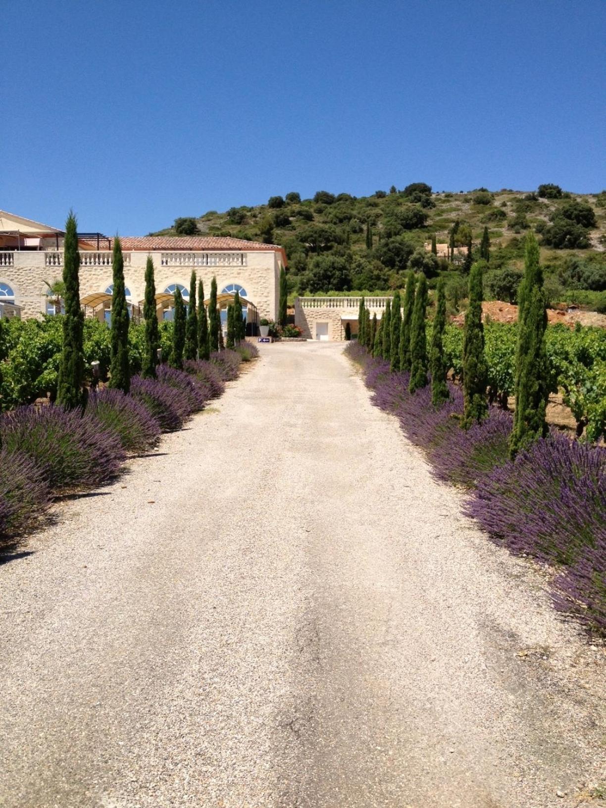 Chateau De Valloubiere Saint-Jean-de-Fos Екстер'єр фото