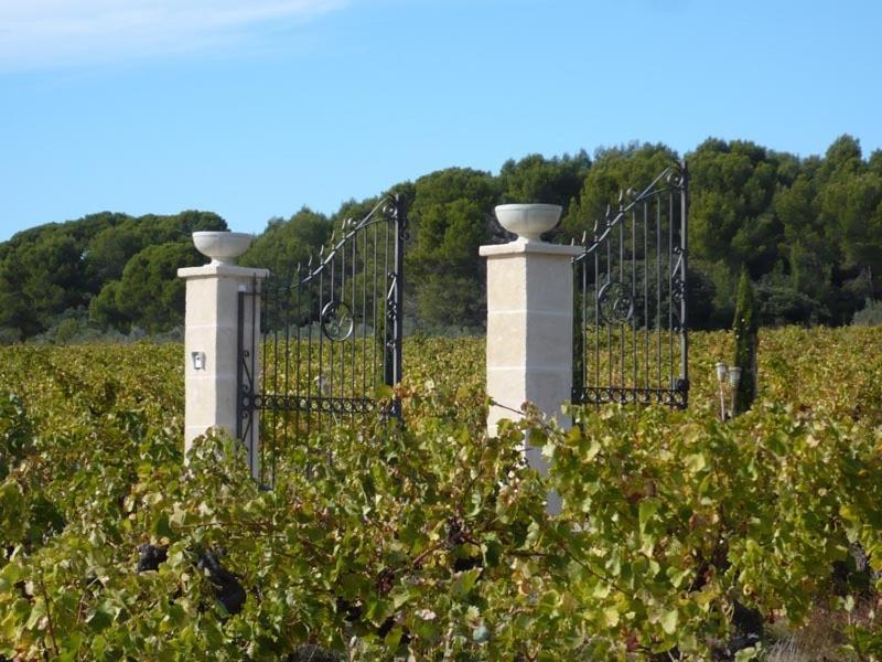 Chateau De Valloubiere Saint-Jean-de-Fos Екстер'єр фото