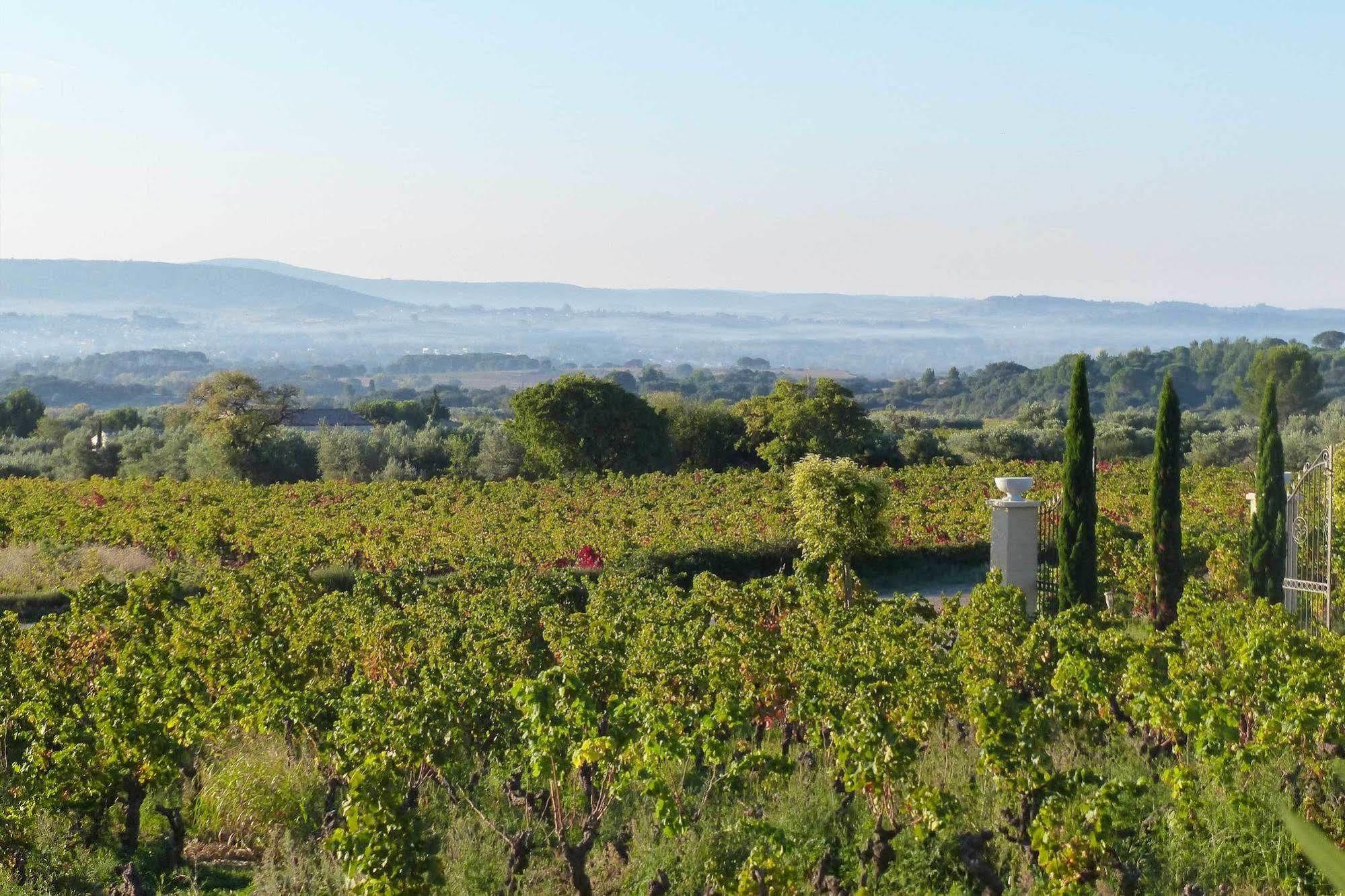Chateau De Valloubiere Saint-Jean-de-Fos Екстер'єр фото