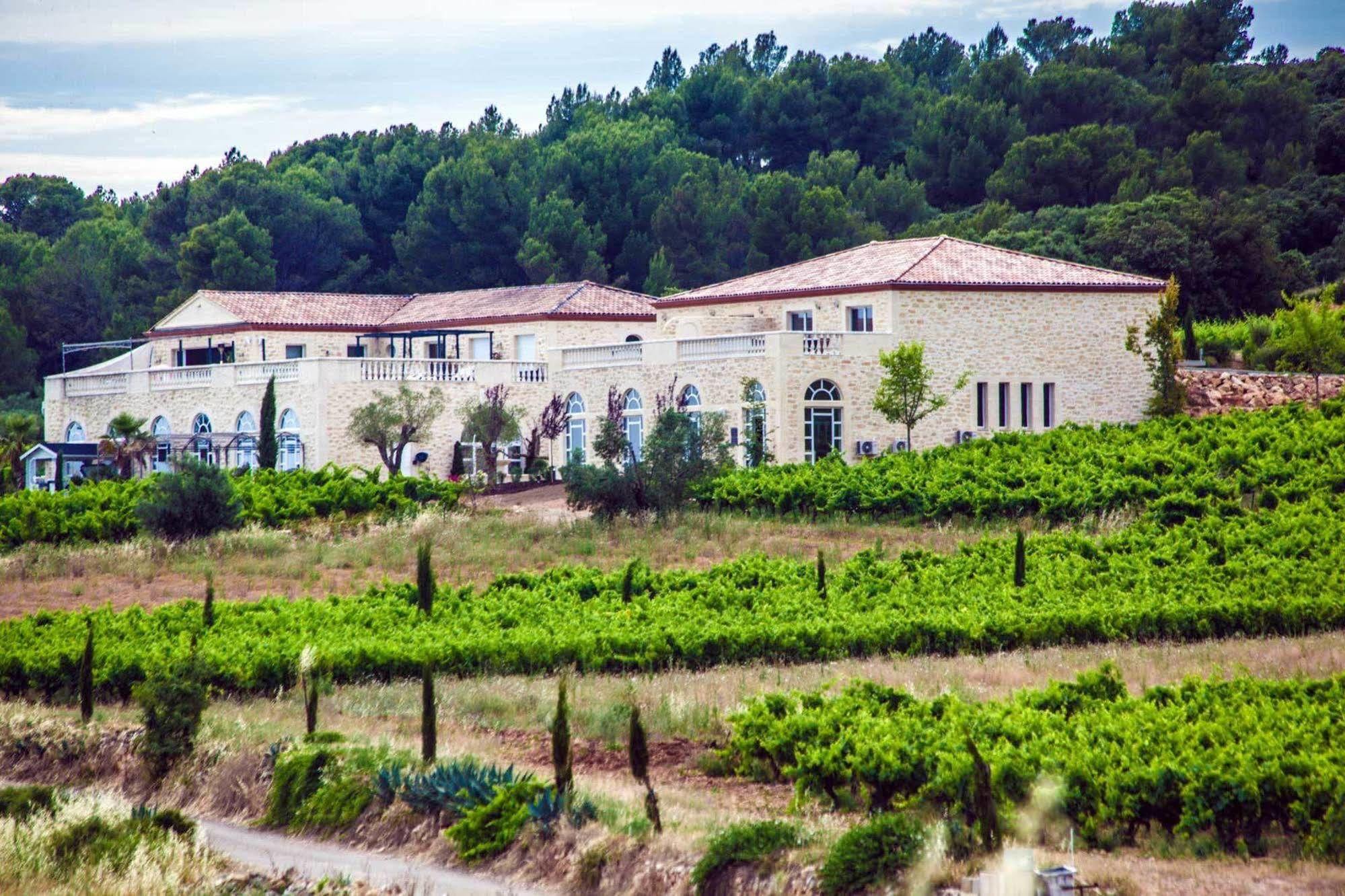 Chateau De Valloubiere Saint-Jean-de-Fos Екстер'єр фото